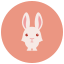 rabbit-run